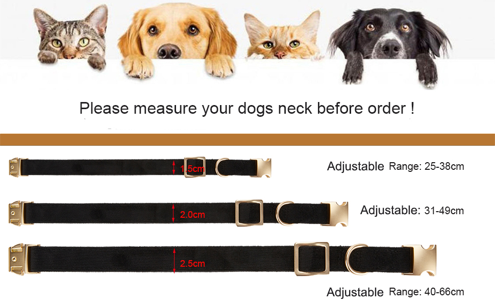 Dog Collar Small Medium Large Size Chart
