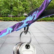 dog leash with metal d-ring