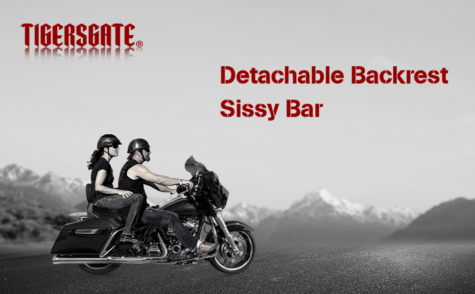 TIGERSGATE Gloss Black Detachable Motorcycle Rear Seat Diamond BackRest