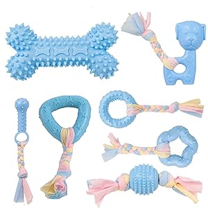 dog toy tpr blue