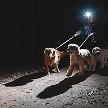 headlamp walking dog