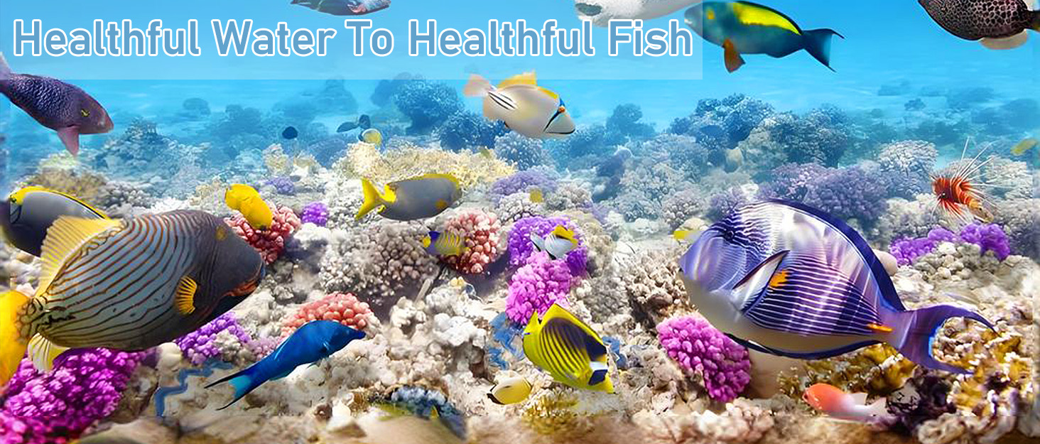 fish tank filters cartridge fish filter tetra filter tetra whisper bio bag cartridges large