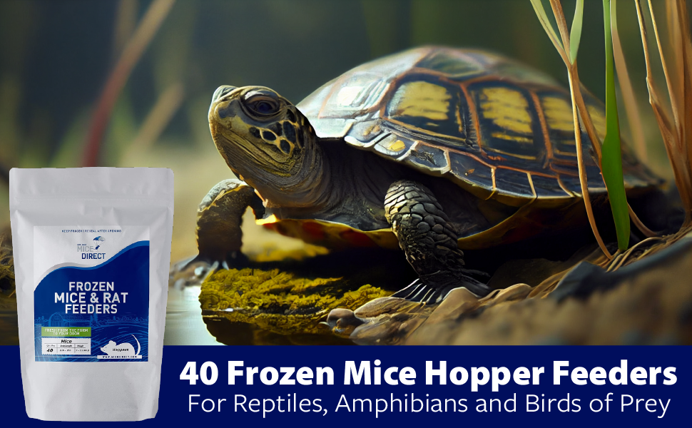 MiceDirect Frozen Hopper Mice Feeders Baby Ball Pythons