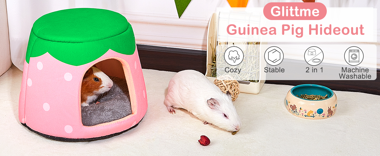 guinea pig bed