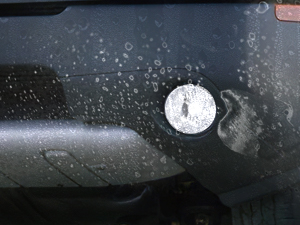 Nilight Fog Light Assembly Compatible with NISSAN