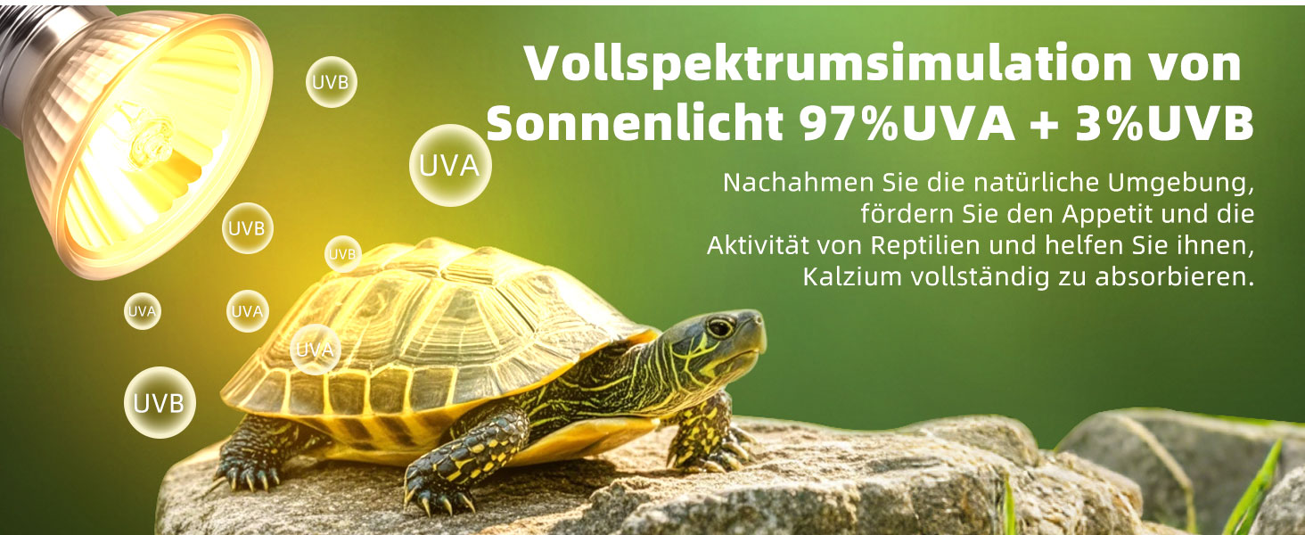 Wärmelampe Aquarium