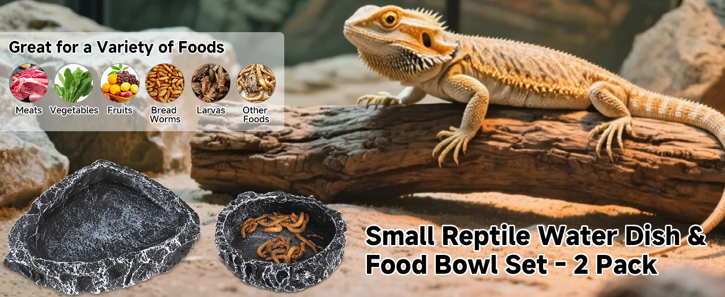 Reptile Feeding Dish