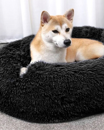 dog beds