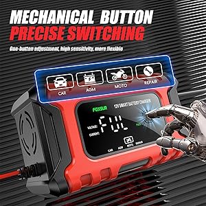 Smart battery charger