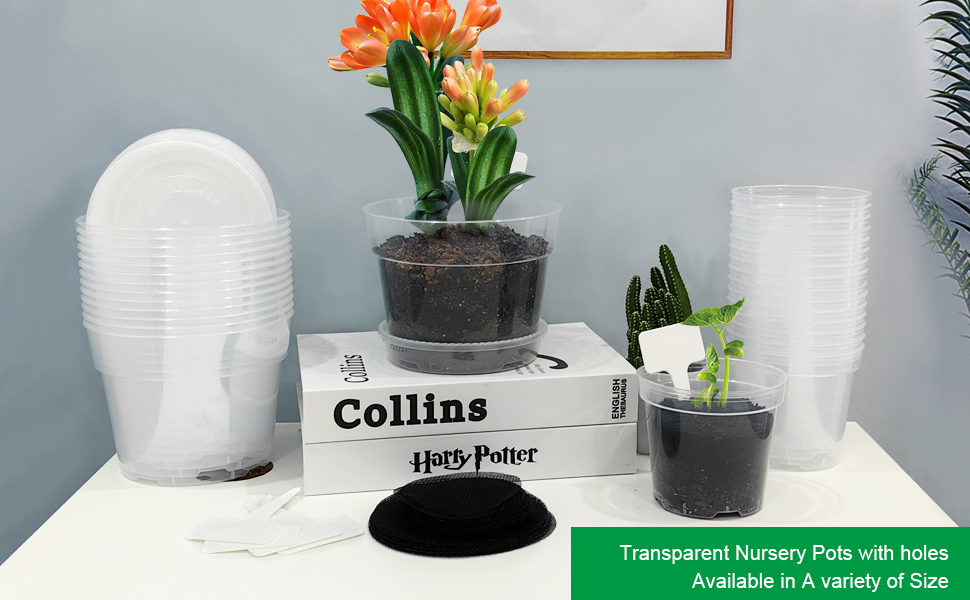 Transplant Seed Starter Pots