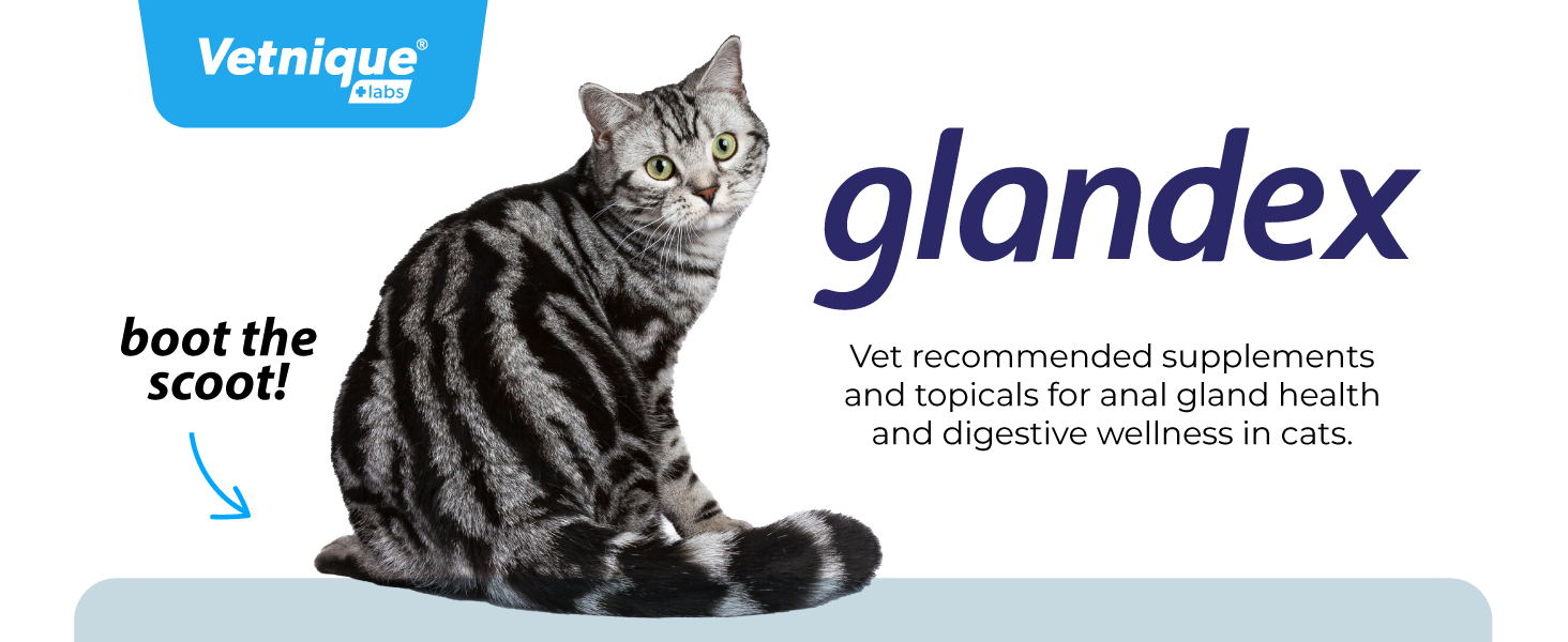 Glandex Vet Recommended Supplements