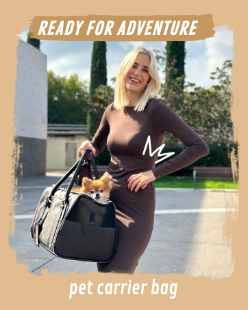 cat carrier