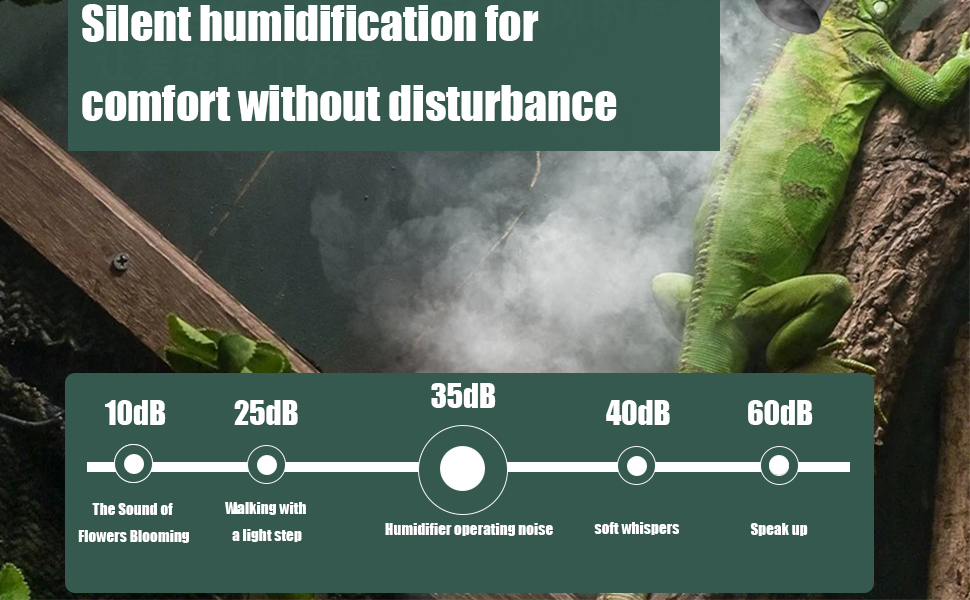 humidifier for plants