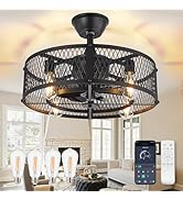 DLLT Caged Ceiling Fan with Lights: 20