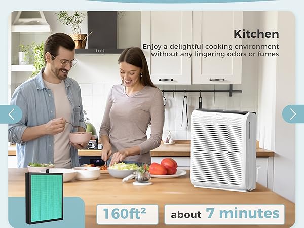 air purifier for kitchen odors