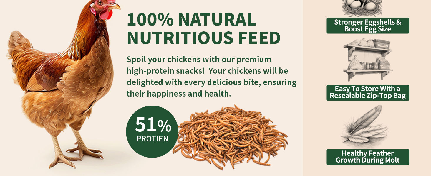 bluebird feeder for mealworms