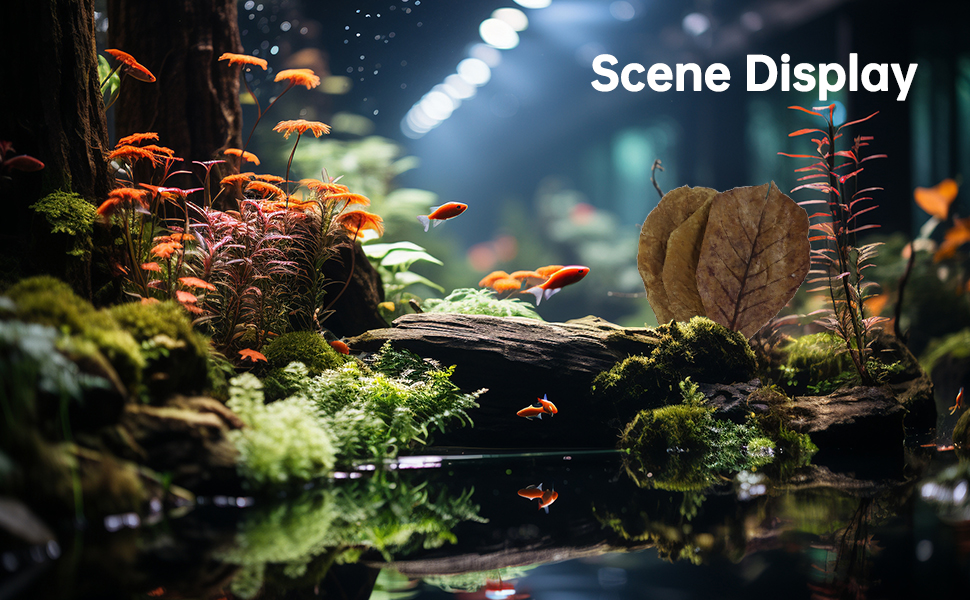 almond leaves for betta fish indian almond leaves for betta fish betta fish water betta fish nest