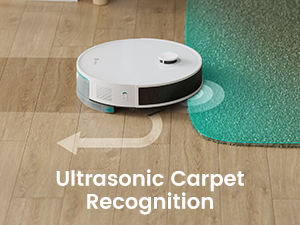 Ultrasonic Carpet Recognition