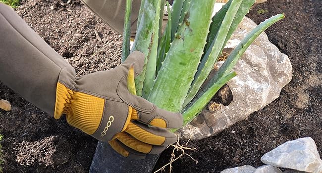 Ideal for Gardening Tasks