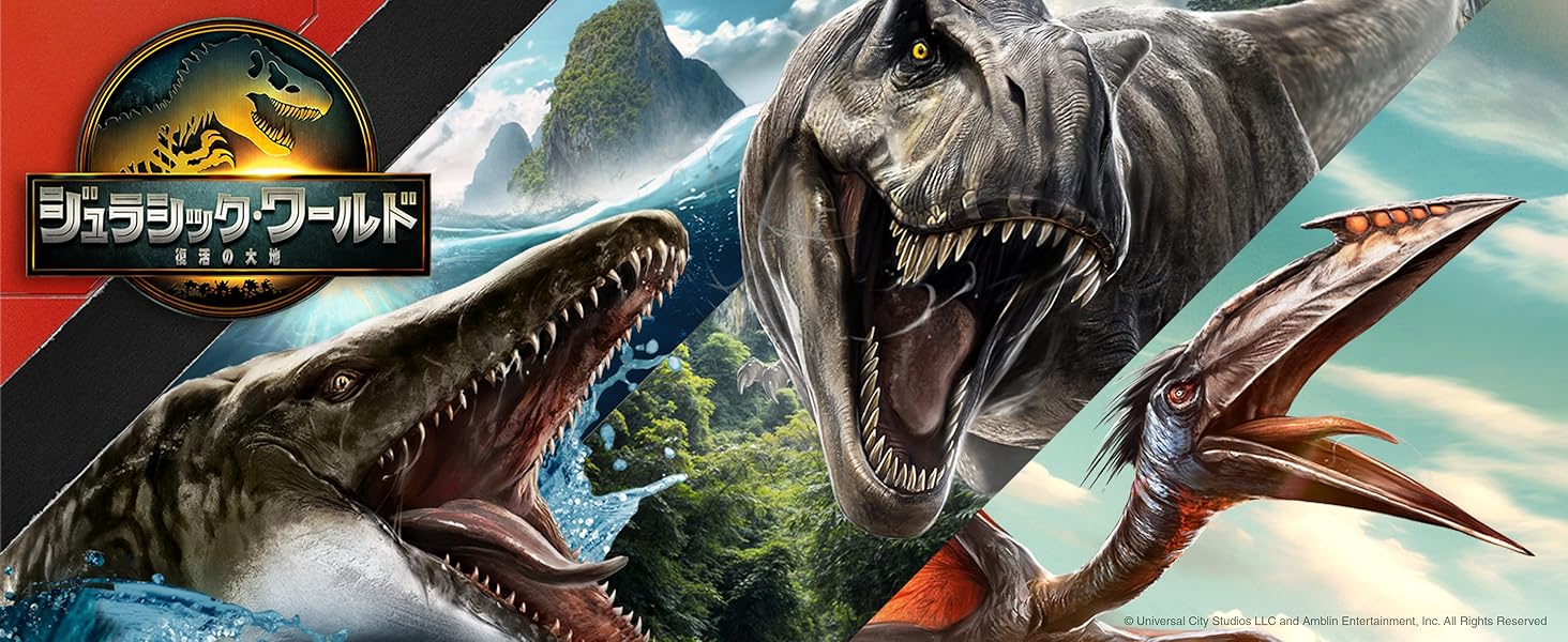 Large manufacture image 5