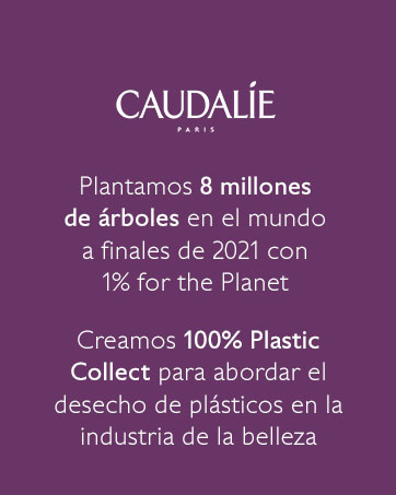 Ecologicamente responsable sustentable