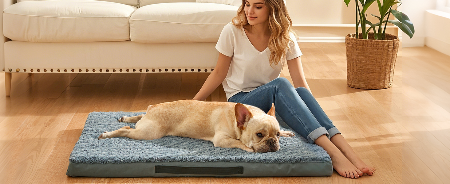 Orthopedic Dog Beds