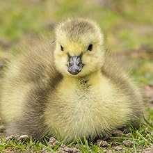 Small manufacture image 9