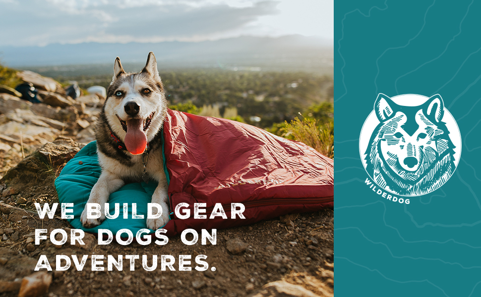 camping dog gear
