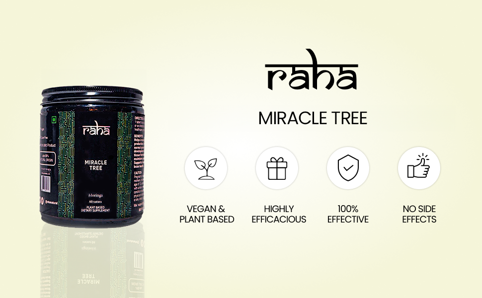 MIRACLE TREE - MORINGA