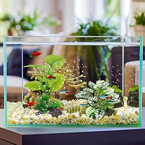 Betta-Safe Plastic Design