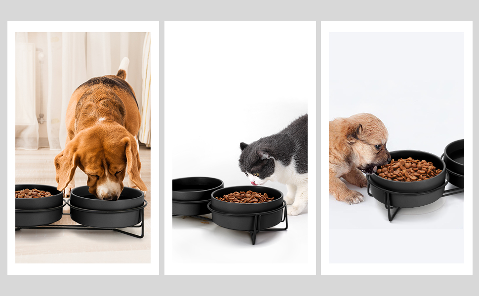 Ceramic Dog and Cat Bowl Set with Stand, 3.6 Cups Dog Food