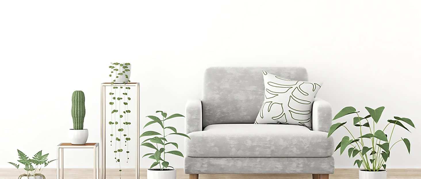 everyone deserves a better life