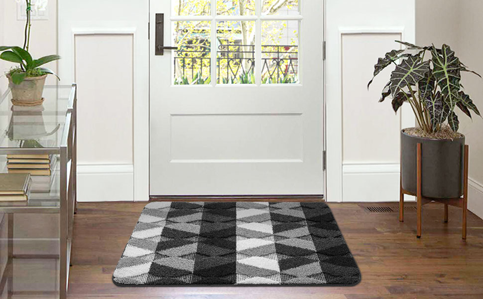 DEXI Indoor Doormat Front Door Rug, 20"x32" Absorbent