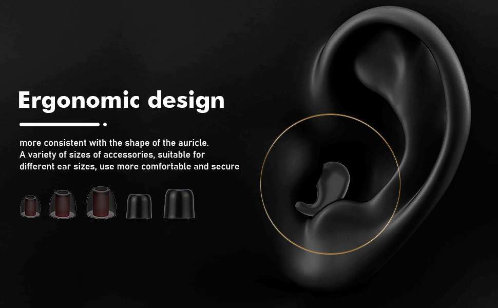 ear plugs for concerts