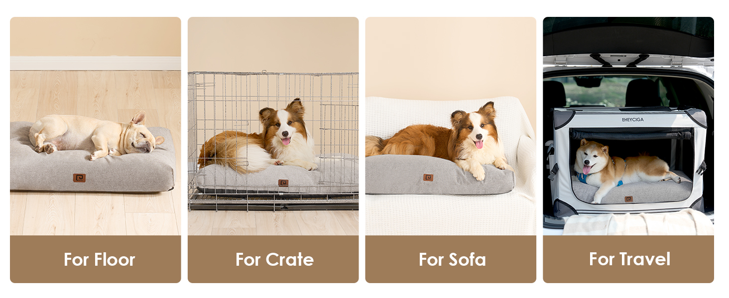dog bed