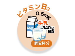 Vitamin B2 0.5 mg