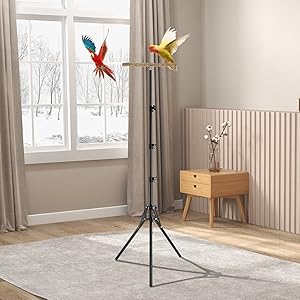 Wood Bird Training Perch Stand