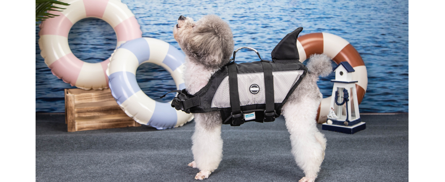 dog lifejacket