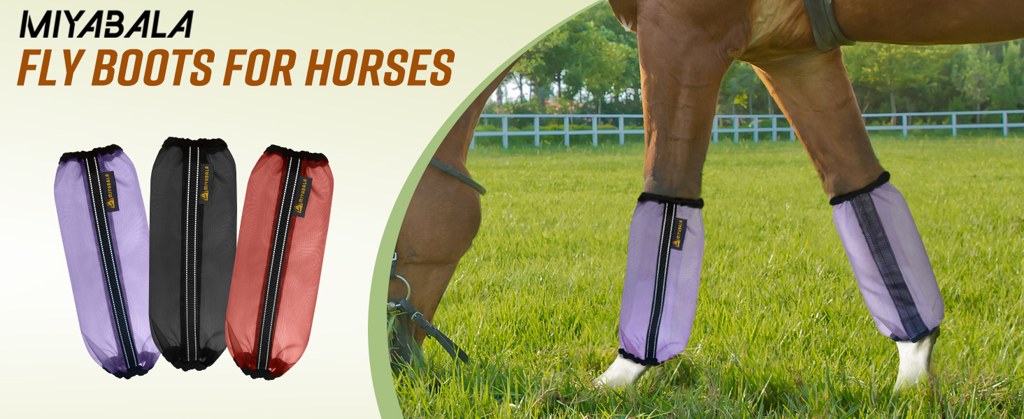 fly boots for horse