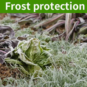 Frost Cloth for Outdoor Plants