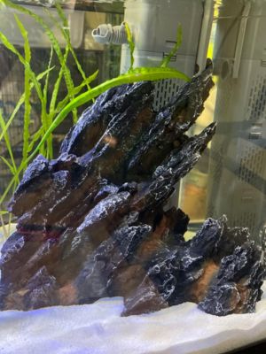 Mountain Hill View Stone