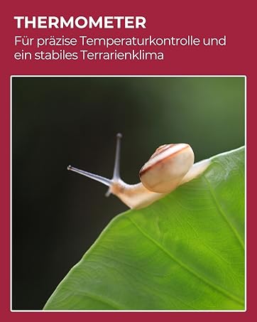 Thermometer