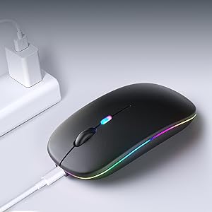 a mouse sits next to an iphone charger.