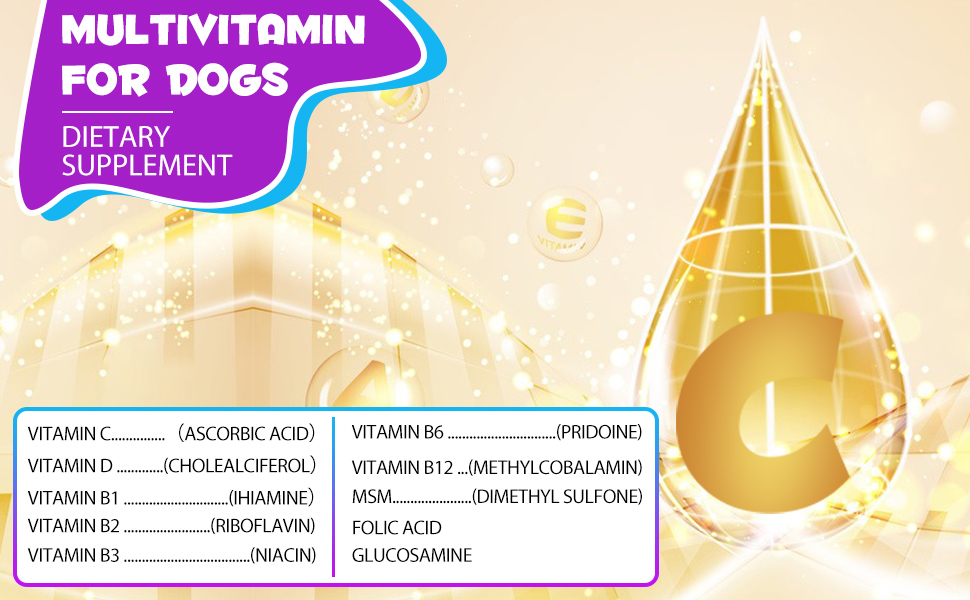 Liquid Multivitamin for Dogs