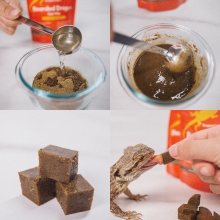 Bearded Dragon Mixing Instructions