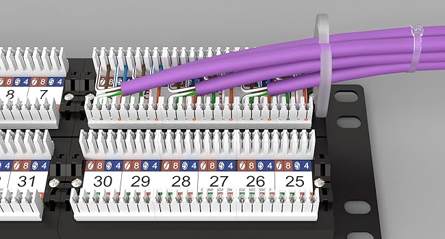 Amazon.com: FGB 48-Port Cat6 Patch Panel, 2U 19