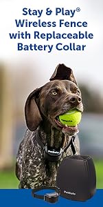 wireless, no dig, fencing, dog, pet, cat, travel, portable, petsafe, diy