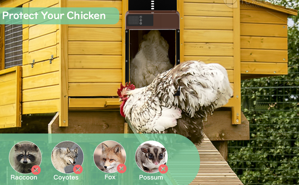 Automatic Chicken Coop Door, Issufel 2023 Upgraded Anti