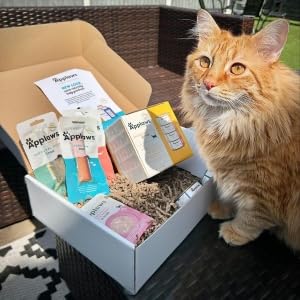 Small manufacture image 8