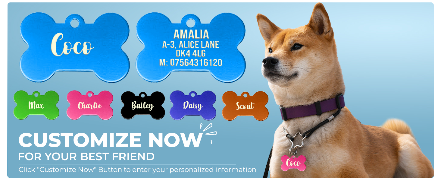 dog tag ID pat collar identity plate Customized Pet ID Tag with Split Ring 